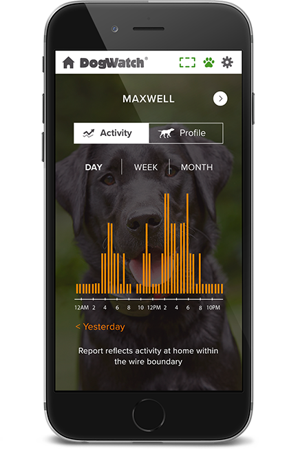 DogWatch of Winchester, Winchester, Virginia | SmartFence WebApp Image