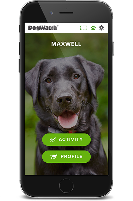 DogWatch of Winchester, Winchester, Virginia | SmartFence WebApp Image